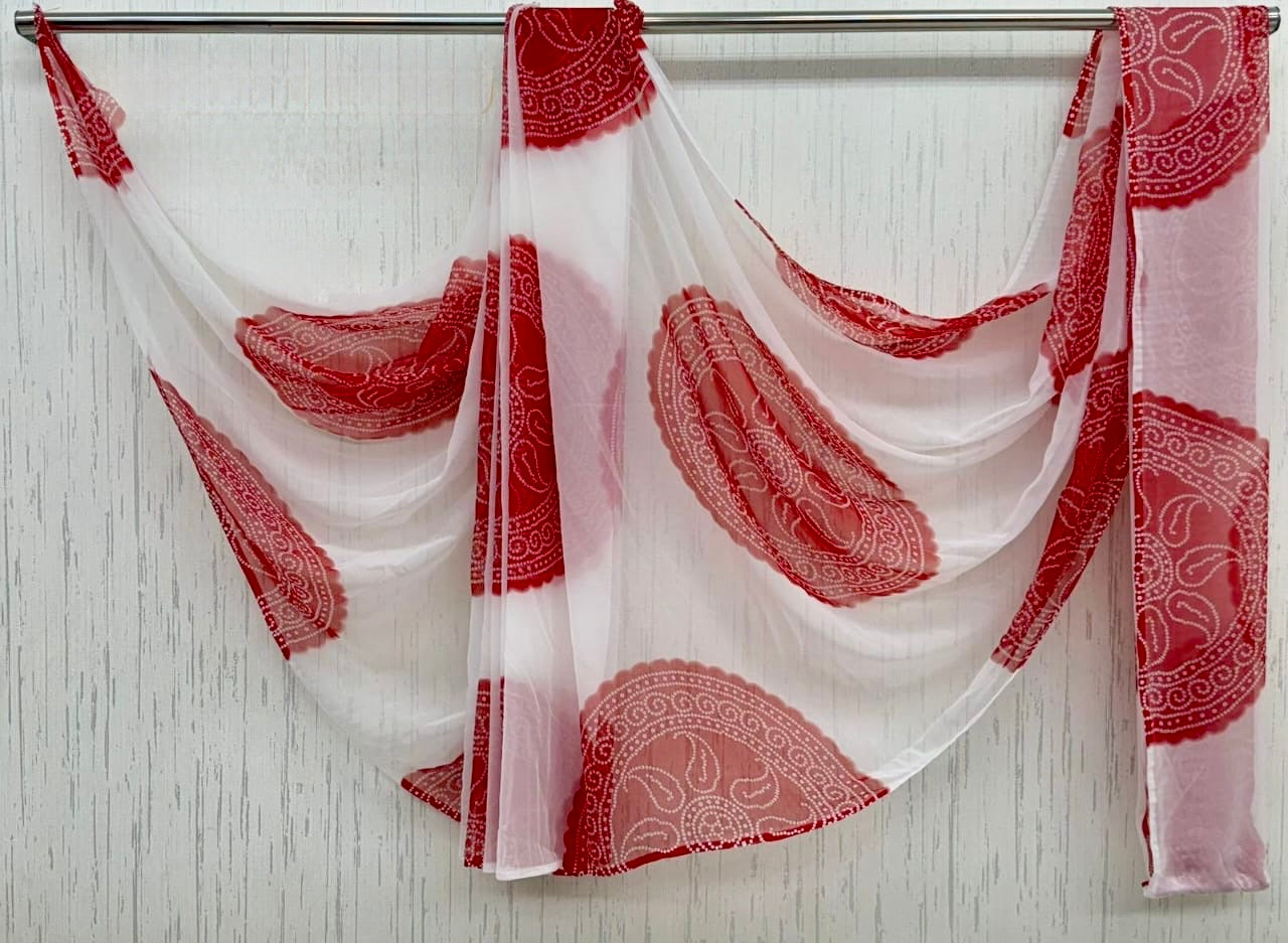 White red Faganiya Gevar Saree