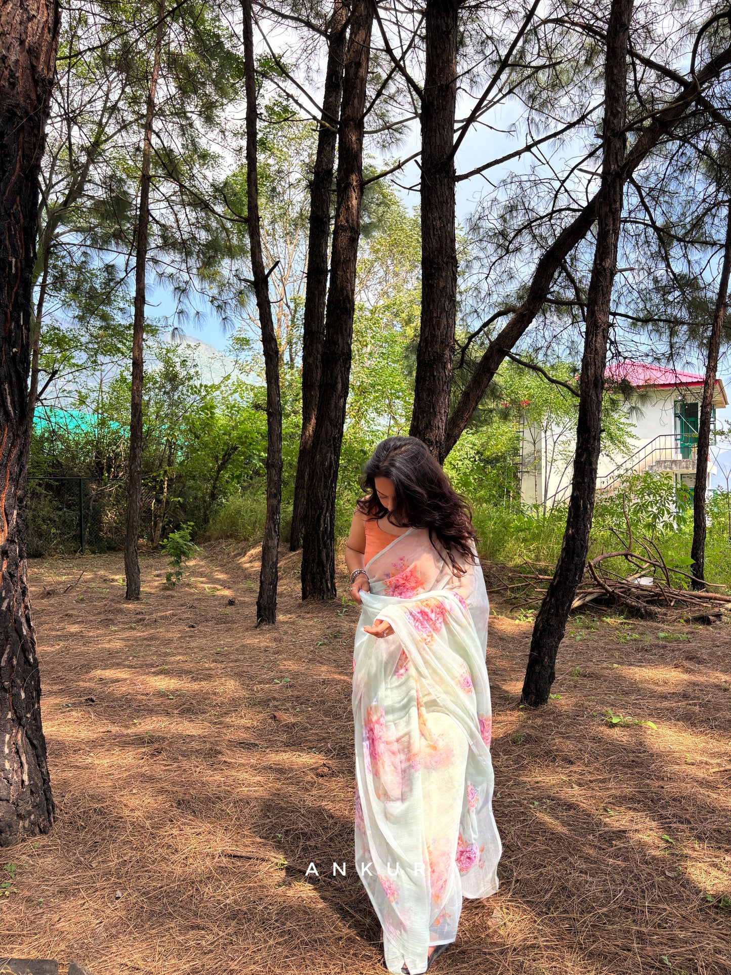 Sea Shell Green Vintage Isha Chiffon