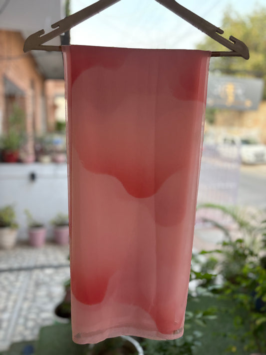 Baby Pink Sparrow Brush Paint