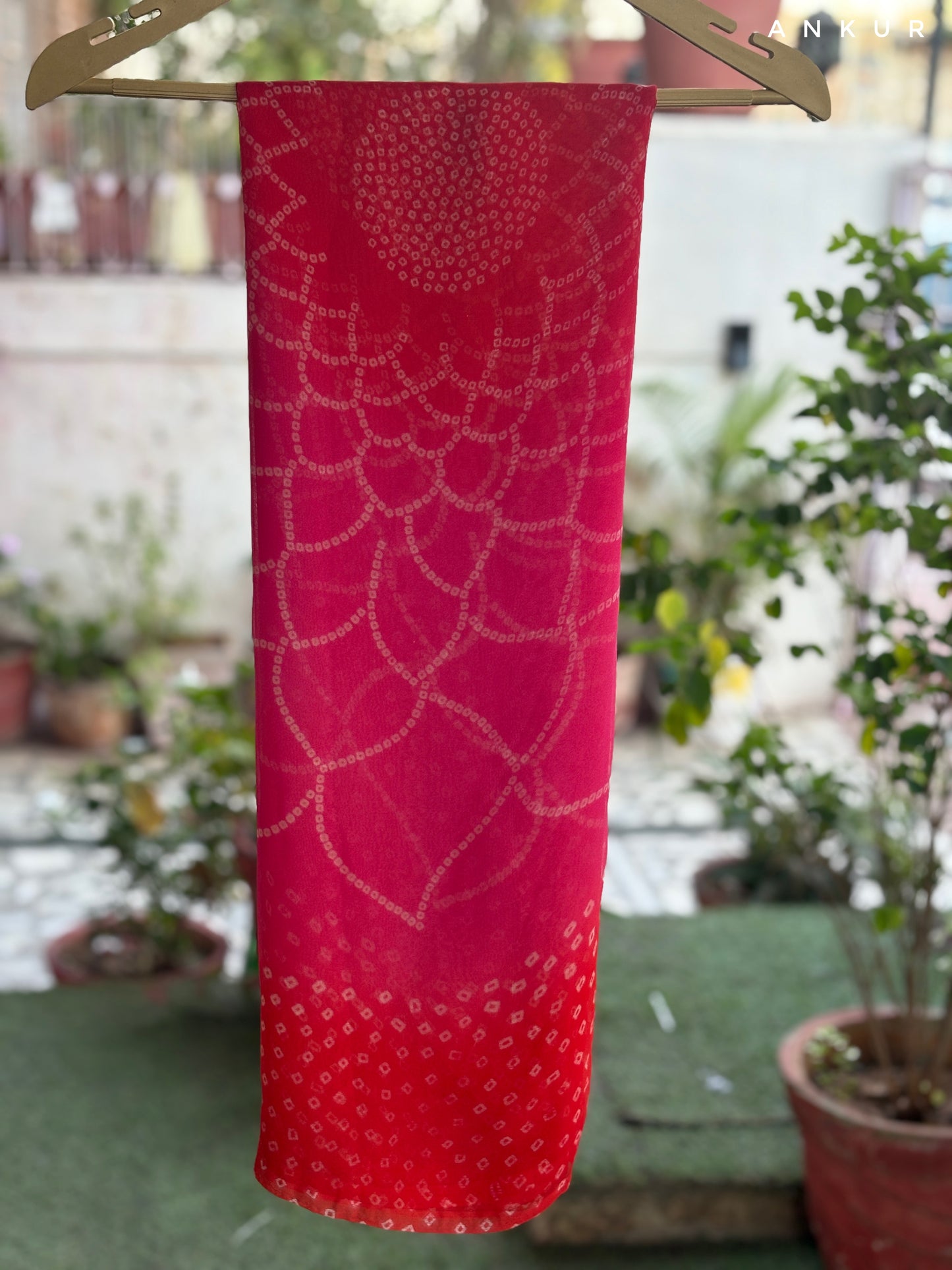Shades of Rani Traditional Rajwadi