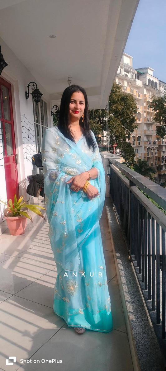 Sky Blue in Jaal work Anvi