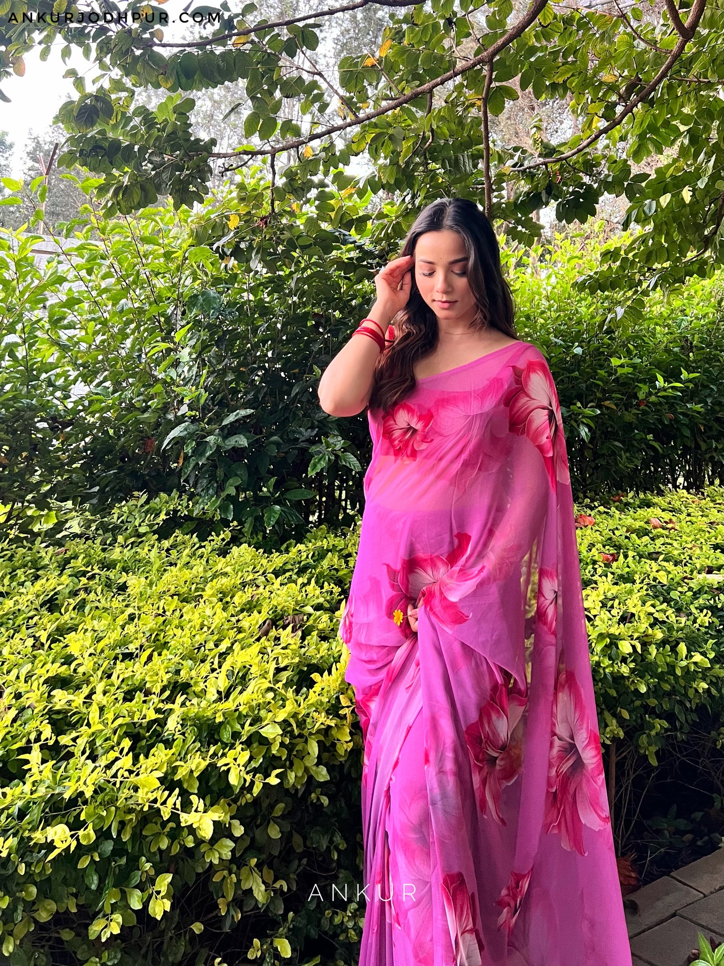 Moonlit Orchid Rajwadi