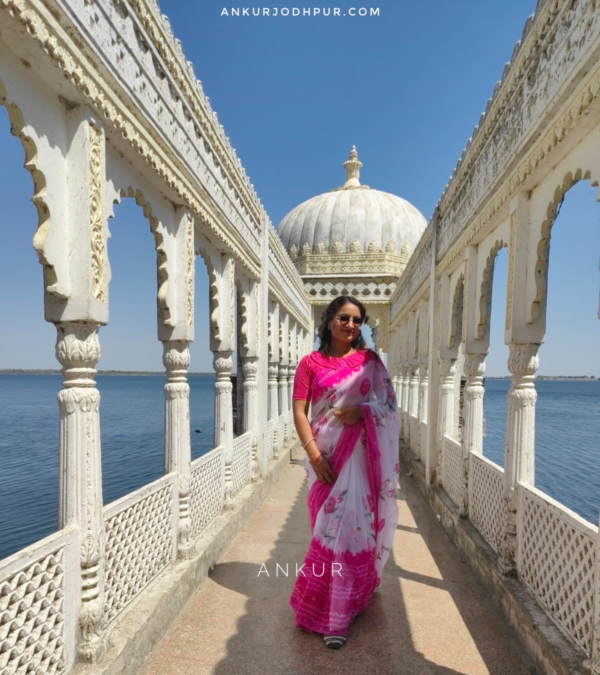 Hand Painted Gulabi Faganiya Saree