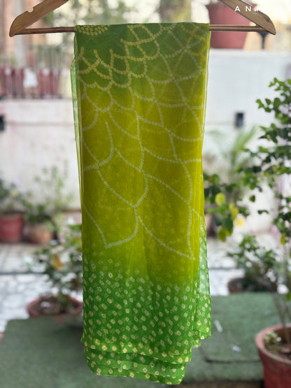 Shades of Green Traditional Rajwadi