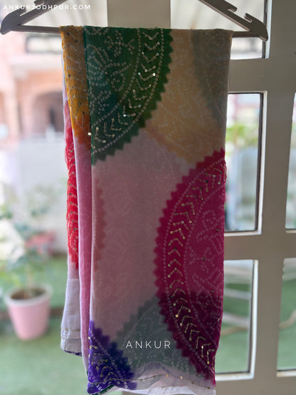 Jodhpuri RangBaandh Bandhani zari work Suhani