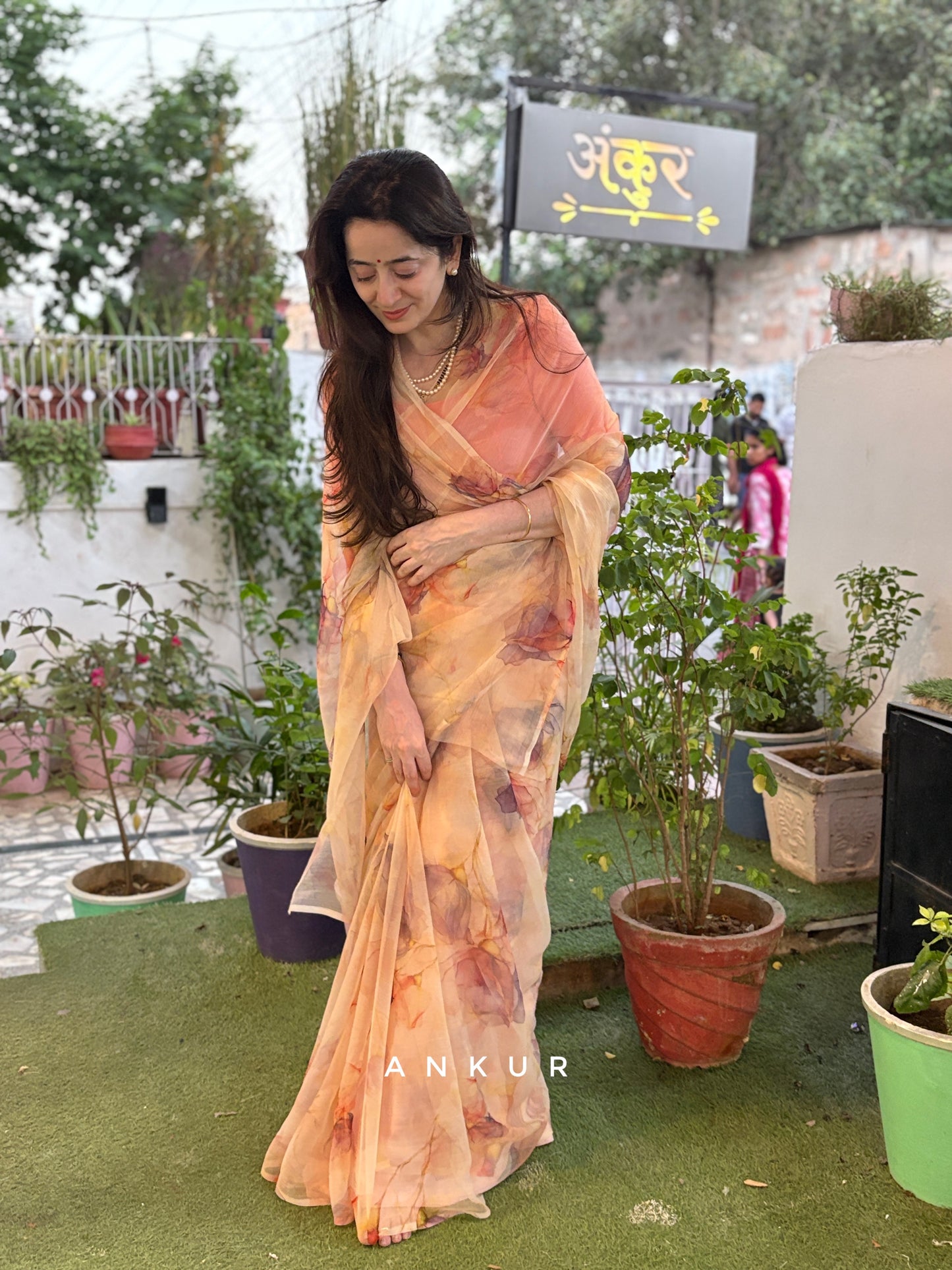 Peach Whisper Vintage Isha Chiffon