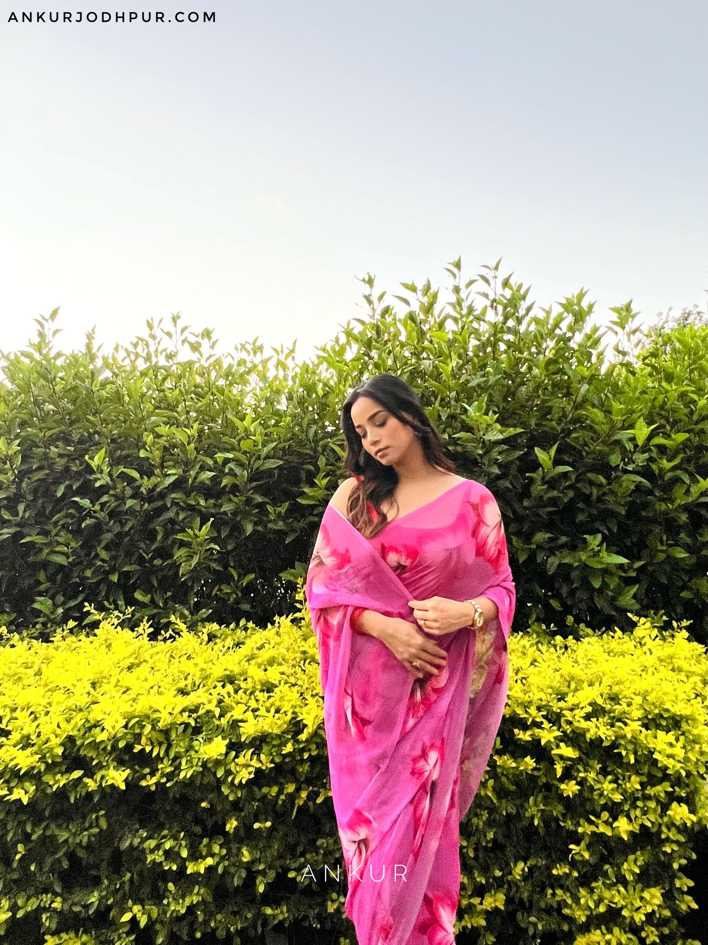 Moonlit Orchid Rajwadi