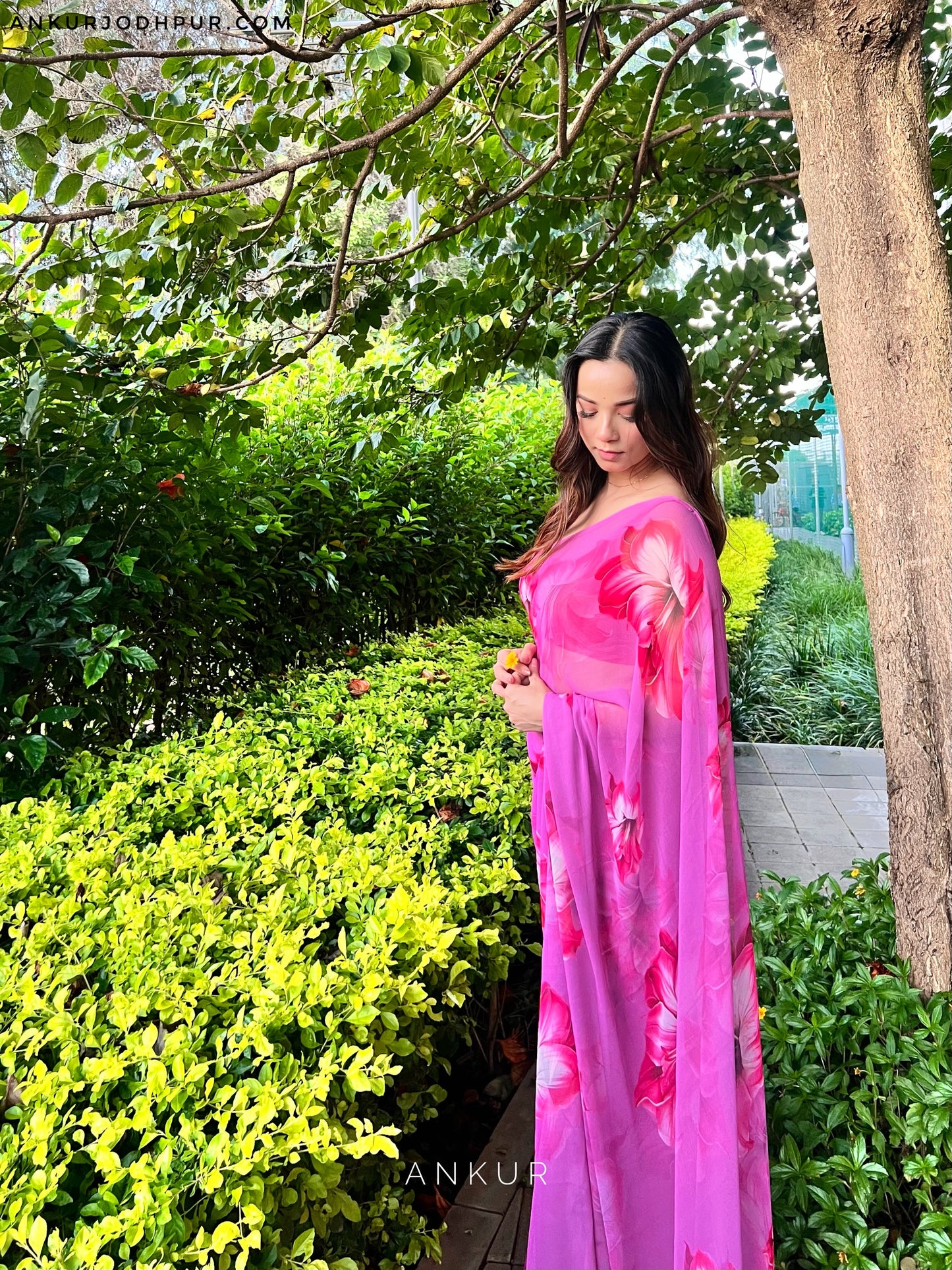 Moonlit Orchid Rajwadi