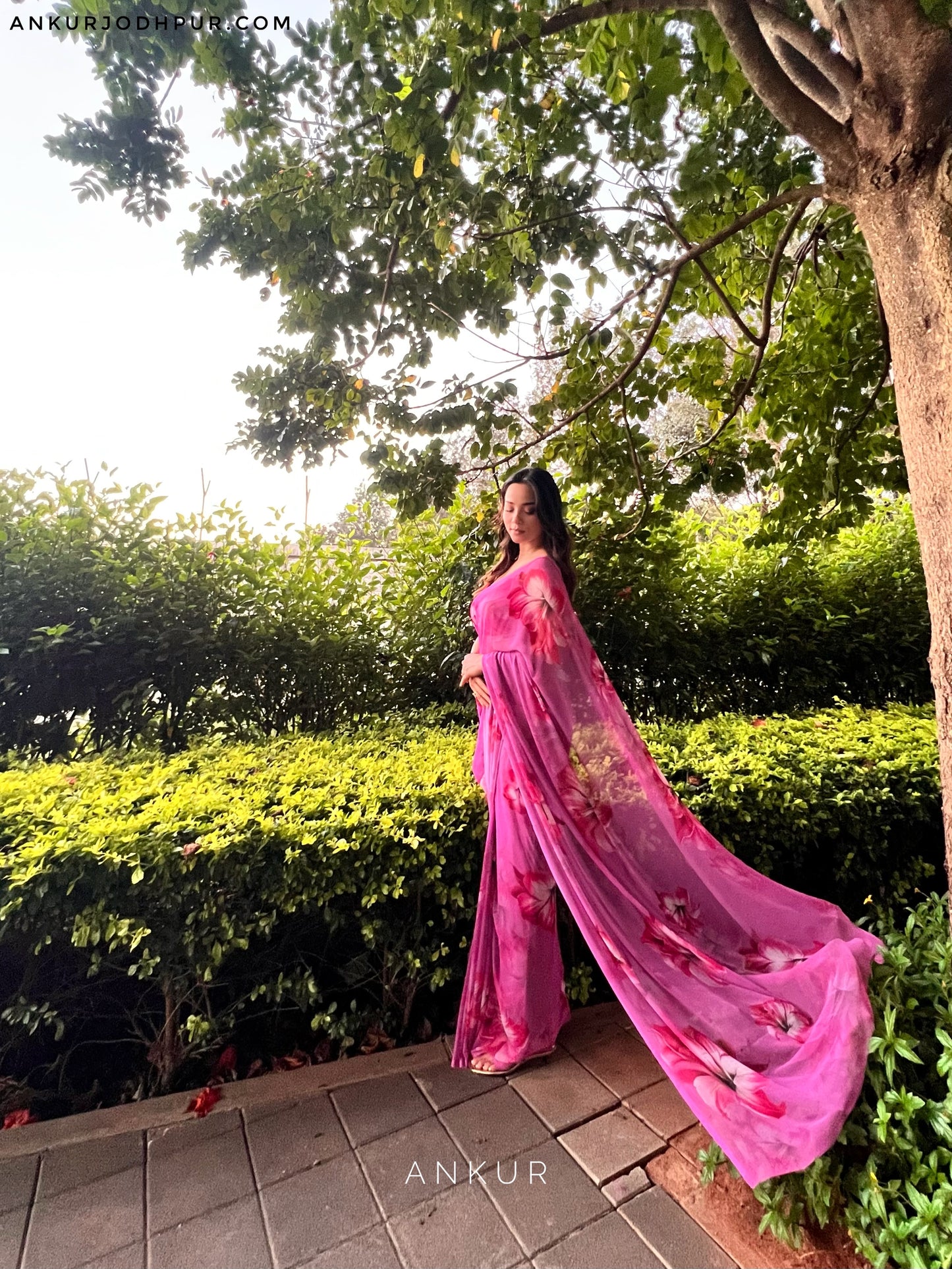 Moonlit Orchid Rajwadi