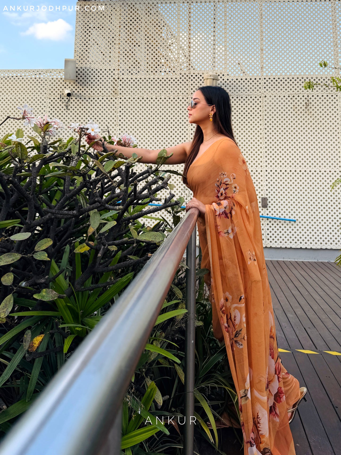 Ruby Flamingo Garden Rajwadi