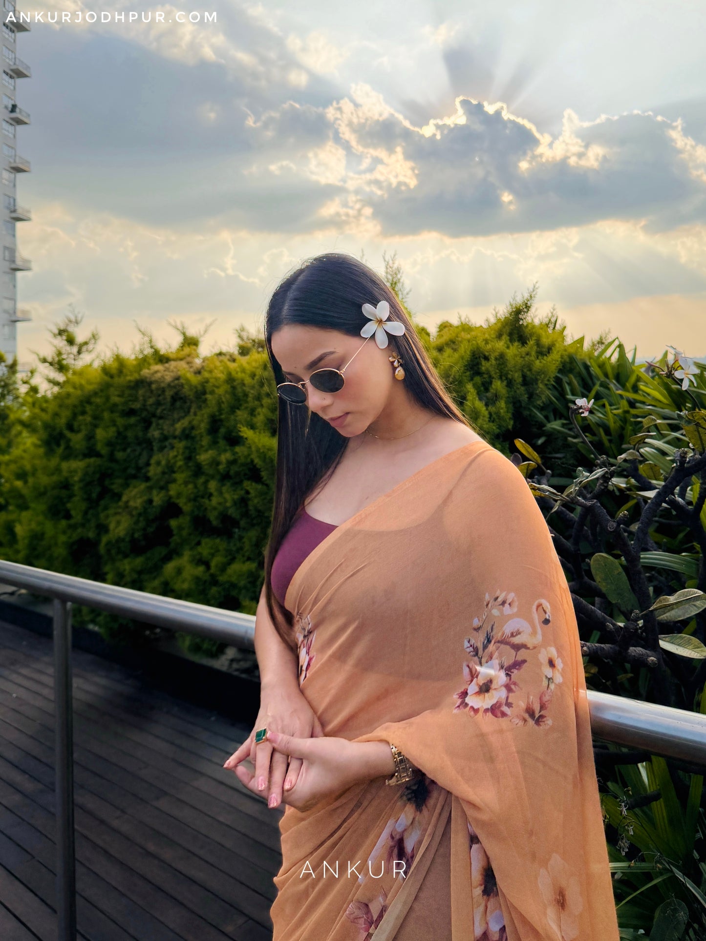 Ruby Flamingo Garden Rajwadi