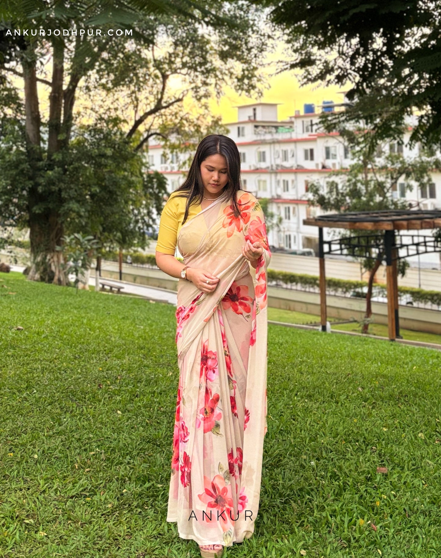 Orchid Shine Rajwadi